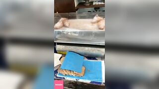 ROSA PERROTTA NUOVE INSTAGRAM STORIES!