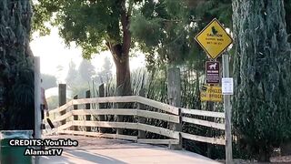 Funny reactions bushman prank