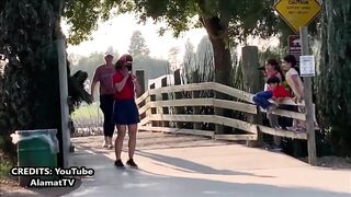 Funny reactions bushman prank