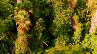 Jason Derulo - Acapulco [Official Music Video]