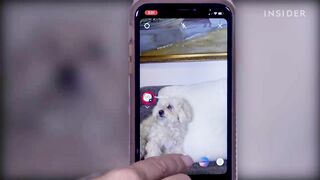 How To Use Instagram