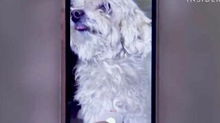 How To Use Instagram