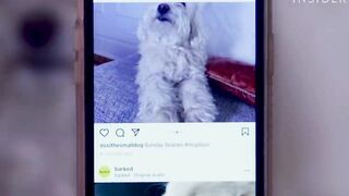 How To Use Instagram