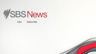 Vaccine passports for overseas travel to be available for Australians from next month I SBS News