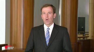 Vaccine passports for overseas travel to be available for Australians from next month I SBS News