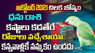 ఆ స్త్రీ మీకోసమే పుట్టింది.. | Dhanu Rasi October 2021 | Chilaka Jyoshyam | Celebrity Bhakti