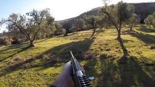 chasse sanglier 2021/compilation de tirs wild boar hunt 2021 / shot compilation