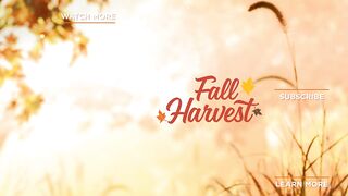 Preview - South Beach Love - Hallmark Channel