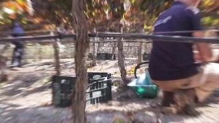 Thylane Katana beach time with family in ???????? | daily updates | Solenn Heussaff | Nico Bolzico