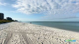 Robb's Monday Morning Beach Walk in Area 1 at Delnor-Wiggins 09.27.21