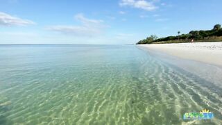 Robb's Monday Morning Beach Walk in Area 1 at Delnor-Wiggins 09.27.21