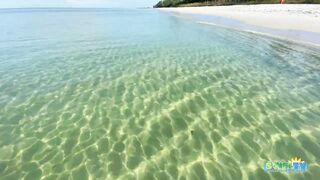 Robb's Monday Morning Beach Walk in Area 1 at Delnor-Wiggins 09.27.21
