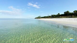 Robb's Monday Morning Beach Walk in Area 1 at Delnor-Wiggins 09.27.21