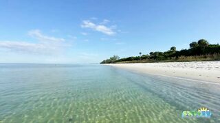 Robb's Monday Morning Beach Walk in Area 1 at Delnor-Wiggins 09.27.21