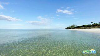 Robb's Monday Morning Beach Walk in Area 1 at Delnor-Wiggins 09.27.21