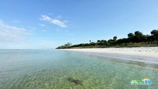 Robb's Monday Morning Beach Walk in Area 1 at Delnor-Wiggins 09.27.21