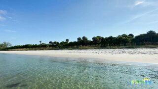 Robb's Monday Morning Beach Walk in Area 1 at Delnor-Wiggins 09.27.21