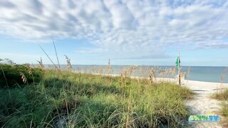 Robb's Monday Morning Beach Walk in Area 1 at Delnor-Wiggins 09.27.21