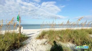 Robb's Monday Morning Beach Walk in Area 1 at Delnor-Wiggins 09.27.21