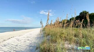 Robb's Monday Morning Beach Walk in Area 1 at Delnor-Wiggins 09.27.21