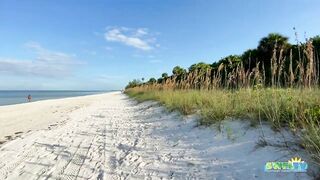 Robb's Monday Morning Beach Walk in Area 1 at Delnor-Wiggins 09.27.21