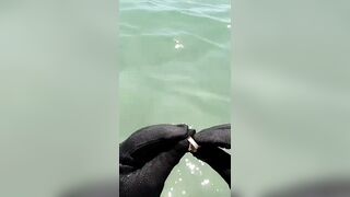 Metal Detecting For Fresh Drops - Beach Pirate Flash Back #shorts