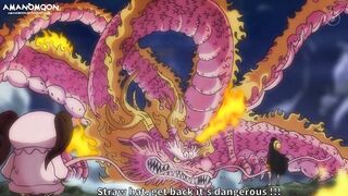 One Piece SPOILER 1027: MAS INFORMACION, Tremendo Capitulo!!!