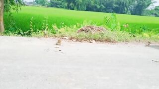 Amazing New funny comedy videos 2021 ???????? funny video 2021 ???? best funny