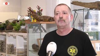 Giftige slang van 2,5 meter gevonden bij sportschool