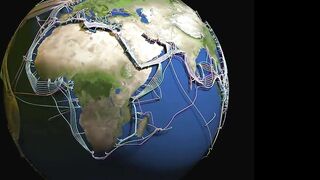 Frog Refuses to Leave Circle