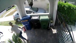 Frog Refuses to Leave Circle