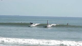 North Florida Surf & Beach Update 12:30 PM 09.30.2021