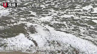 南加Laguna Beach的隱蔽海灘：維多利亞海灘