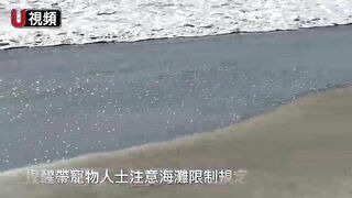 南加Laguna Beach的隱蔽海灘：維多利亞海灘