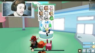 Do YOU remember this.. | PET SIMULATOR 2 ROBLOX