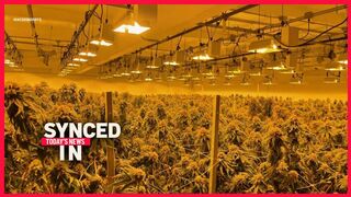 In the News: Major Bay Area Drug Bust, Vaccination Travel Rules, Powerball Jackpot at $620 Million