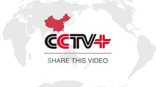 Helicopter Travel Takes off in China Despite High Costs