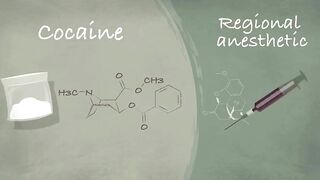 How does anesthesia work? - Steven Zheng