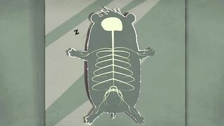 How does anesthesia work? - Steven Zheng