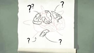 How does anesthesia work? - Steven Zheng