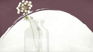 How does anesthesia work? - Steven Zheng