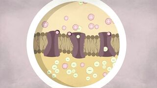 How does anesthesia work? - Steven Zheng