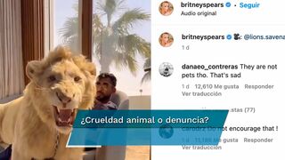 Britney Spears sube video de león encadenado a Instagram y sus fans enfurecen