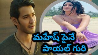 #MaheshBabu Mahesh babu ni Target chesina Payal Ray Rajput |follow Celebrity|