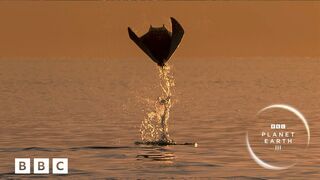 Planet Earth III is HERE! ???? | Official trailer - BBC