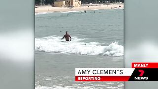 Shark spotted in between the flags at Manly beach | 7 News Australia