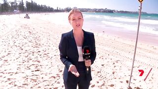 Shark spotted in between the flags at Manly beach | 7 News Australia