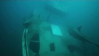 DEEP FEAR Trailer (2023) New Shark Movie Trailers HD