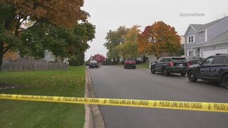 Police fatally shoot sledgehammer-wielding man in Round Lake Beach
