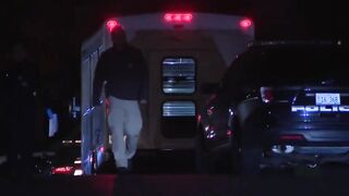 Police fatally shoot sledgehammer-wielding man in Round Lake Beach